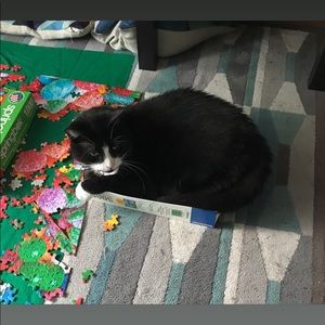 Meet your Posher, Polina